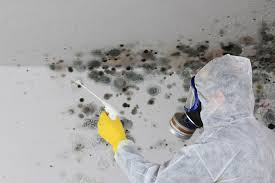 Best Industrial Mold Remediation  in Central Point, OR